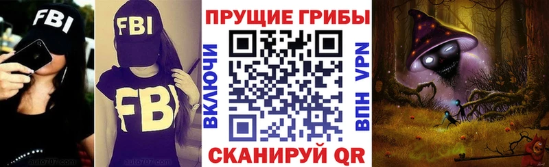 Купить  Боровск  Галлюциногенные грибы прущие грибы 